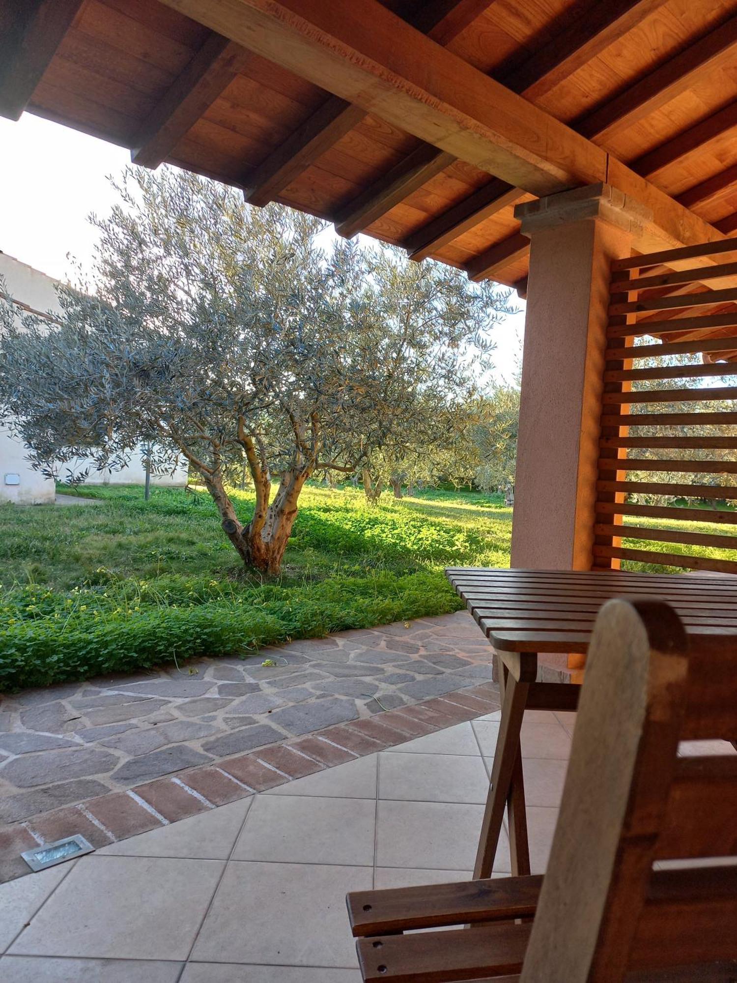 Agriturismo Villa Degli Ulivi サン・ヴェーロ・ミーリス エクステリア 写真